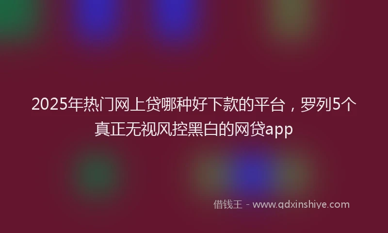 2025年热门网上贷哪种好下款的平台，罗列5个真正无视风控黑白的网贷app