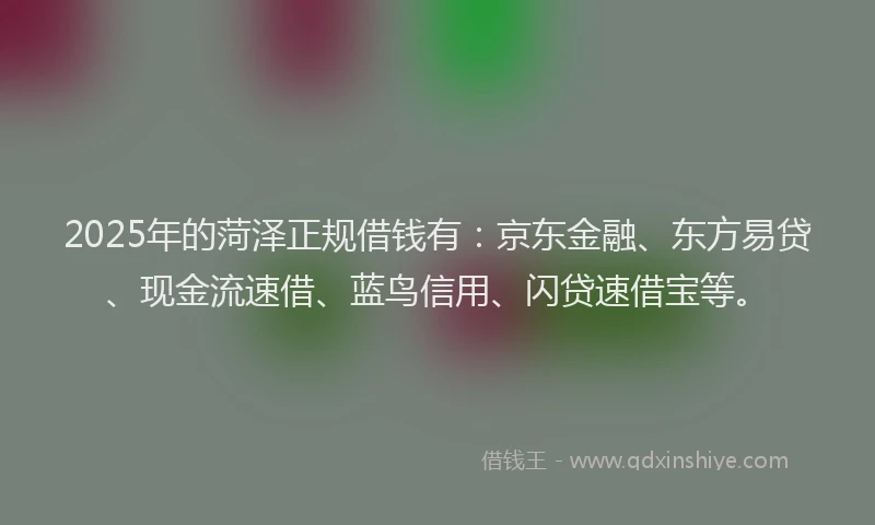 2025年的菏泽正规借钱有：京东金融、东方易贷、现金流速借、蓝鸟信用、闪贷速借宝等。