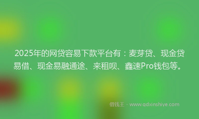2025年的网贷容易下款平台有：麦芽贷、现金贷易借、现金易融通途、来租呗、鑫速Pro钱包等。