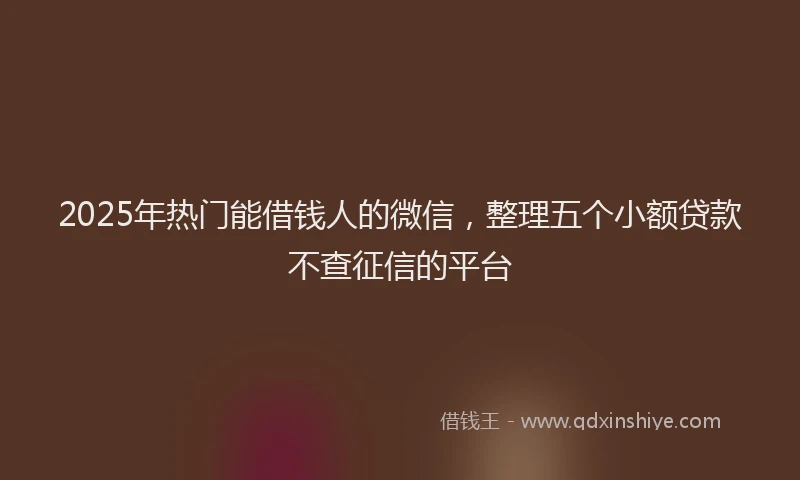 2025年热门能借钱人的微信，整理五个小额贷款不查征信的平台