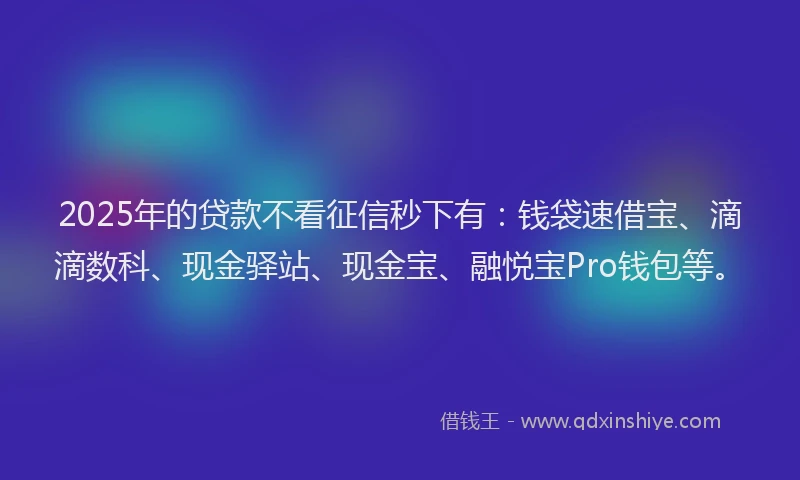 2025年的贷款不看征信秒下有：钱袋速借宝、滴滴数科、现金驿站、现金宝、融悦宝Pro钱包等。
