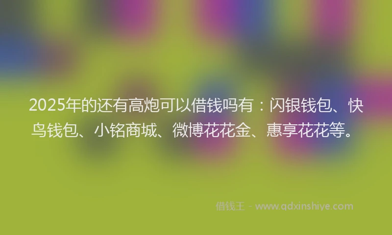 2025年的还有高炮可以借钱吗有：闪银钱包、快鸟钱包、小铭商城、微博花花金、惠享花花等。