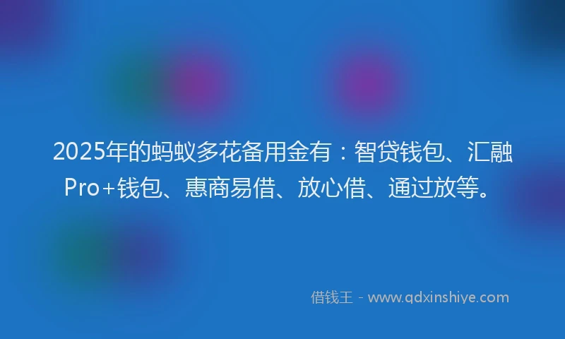 2025年的蚂蚁多花备用金有：智贷钱包、汇融Pro+钱包、惠商易借、放心借、通过放等。