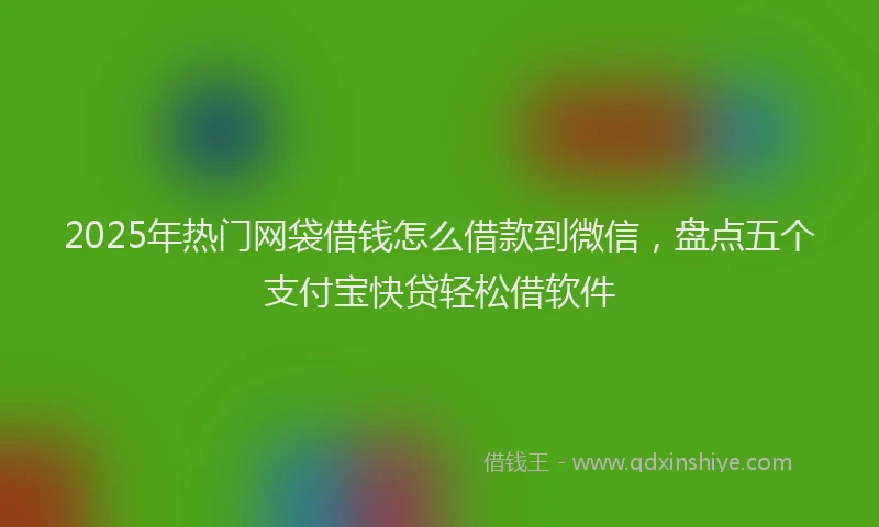2025年热门网袋借钱怎么借款到微信，盘点五个支付宝快贷轻松借软件
