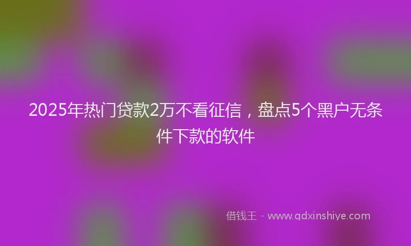 2025年热门贷款2万不看征信，盘点5个黑户无条件下款的软件