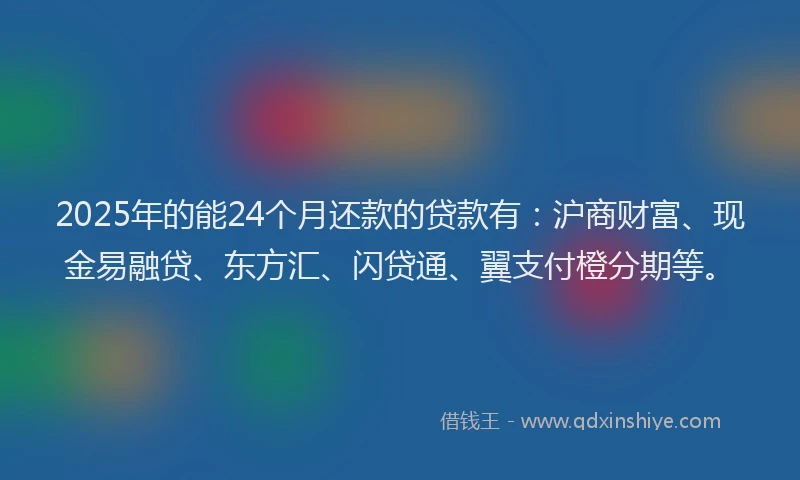 2025年的能24个月还款的贷款有：沪商财富、现金易融贷、东方汇、闪贷通、翼支付橙分期等。