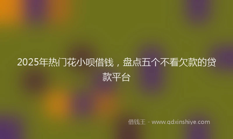 2025年热门花小呗借钱，盘点五个不看欠款的贷款平台