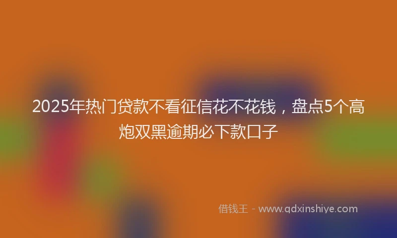 2025年热门贷款不看征信花不花钱，盘点5个高炮双黑逾期必下款口子