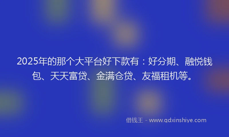 2025年的那个大平台好下款有：好分期、融悦钱包、天天富贷、金满仓贷、友福租机等。