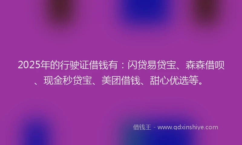 2025年的行驶证借钱有：闪贷易贷宝、森森借呗、现金秒贷宝、美团借钱、甜心优选等。