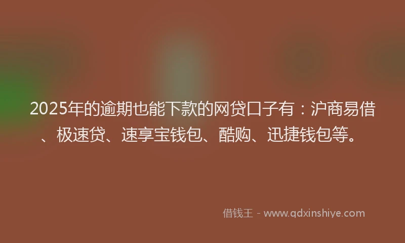 2025年的逾期也能下款的网贷口子有：沪商易借、极速贷、速享宝钱包、酷购、迅捷钱包等。