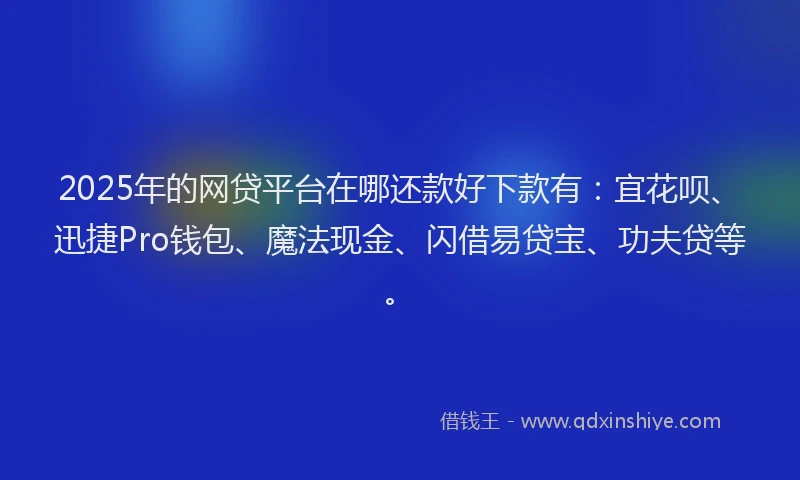 2025年的网贷平台在哪还款好下款有：宜花呗、迅捷Pro钱包、魔法现金、闪借易贷宝、功夫贷等。