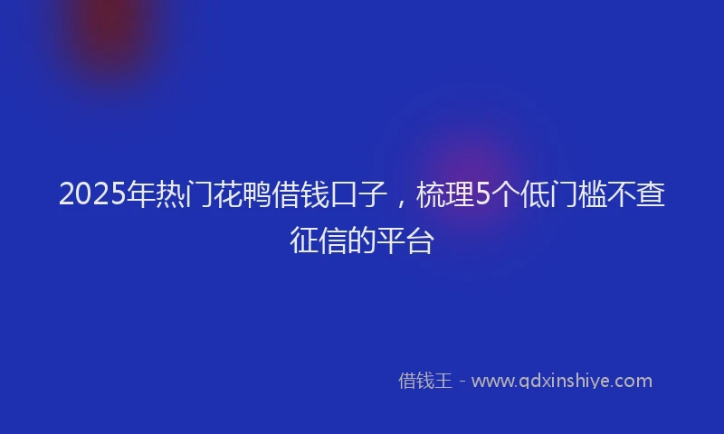 2025年热门花鸭借钱口子，梳理5个低门槛不查征信的平台