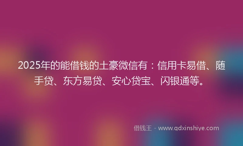 2025年的能借钱的土豪微信有：信用卡易借、随手贷、东方易贷、安心贷宝、闪银通等。