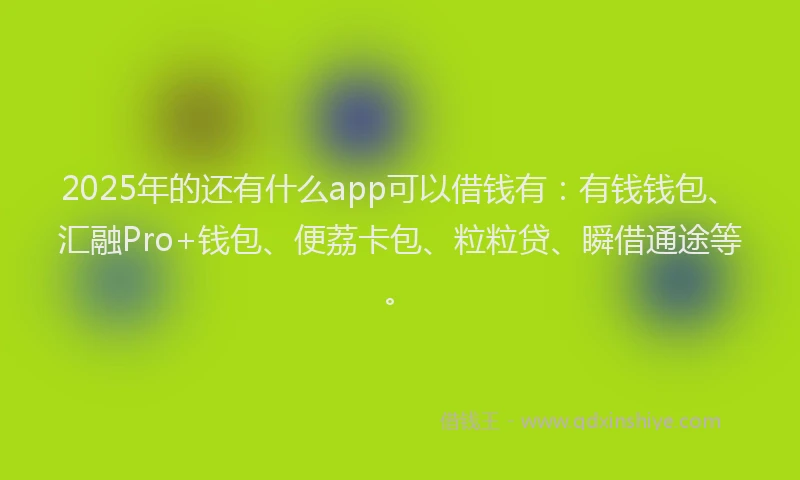 2025年的还有什么app可以借钱有：有钱钱包、汇融Pro+钱包、便荔卡包、粒粒贷、瞬借通途等。
