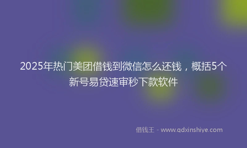 2025年热门美团借钱到微信怎么还钱，概括5个新号易贷速审秒下款软件