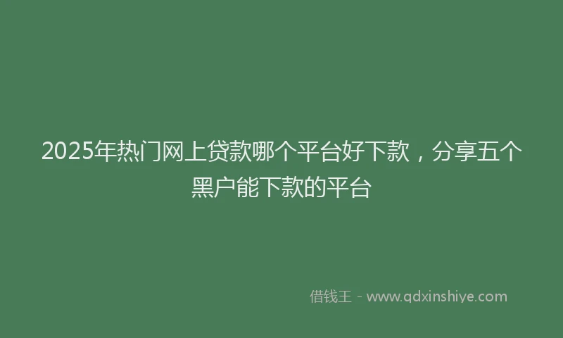 2025年热门网上贷款哪个平台好下款，分享五个黑户能下款的平台