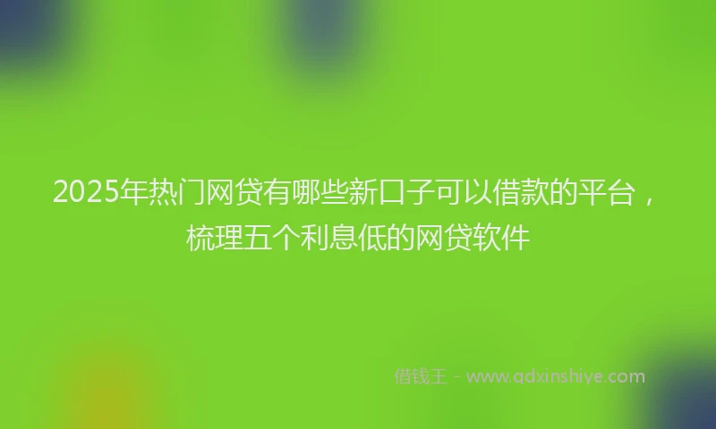 2025年热门网贷有哪些新口子可以借款的平台，梳理五个利息低的网贷软件