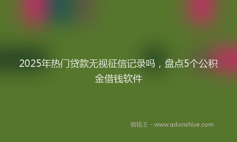 2025年热门贷款无视征信记录吗，盘点5个公积金借钱软件