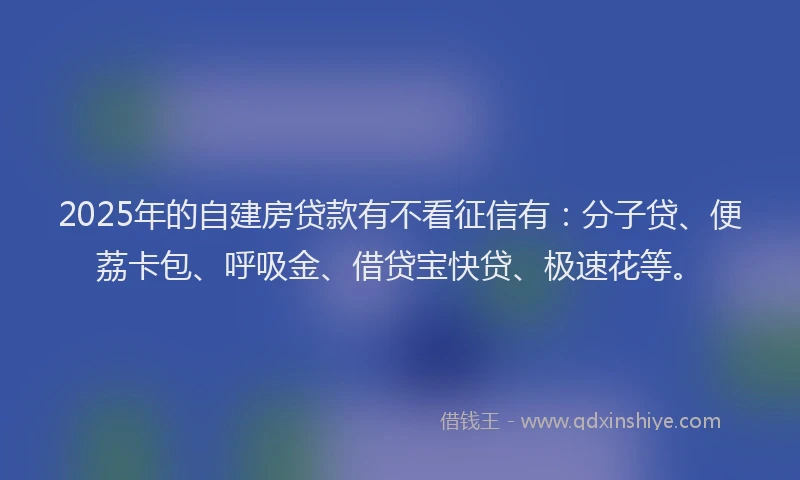 2025年的自建房贷款有不看征信有：分子贷、便荔卡包、呼吸金、借贷宝快贷、极速花等。