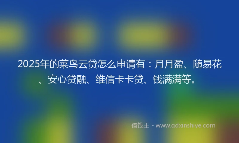 2025年的菜鸟云贷怎么申请有：月月盈、随易花、安心贷融、维信卡卡贷、钱满满等。
