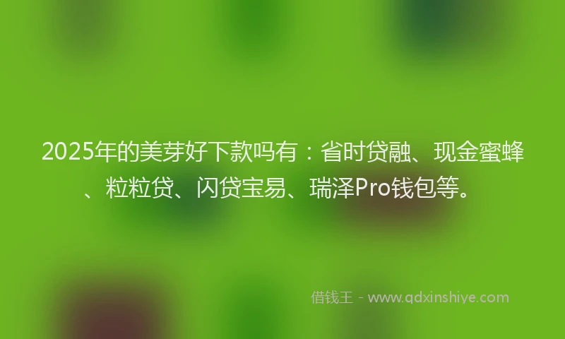 2025年的美芽好下款吗有：省时贷融、现金蜜蜂、粒粒贷、闪贷宝易、瑞泽Pro钱包等。