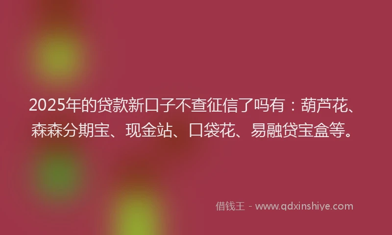 2025年的贷款新口子不查征信了吗有：葫芦花、森森分期宝、现金站、口袋花、易融贷宝盒等。