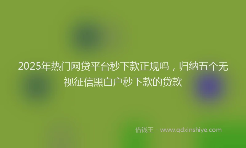 2025年热门网贷平台秒下款正规吗，归纳五个无视征信黑白户秒下款的贷款