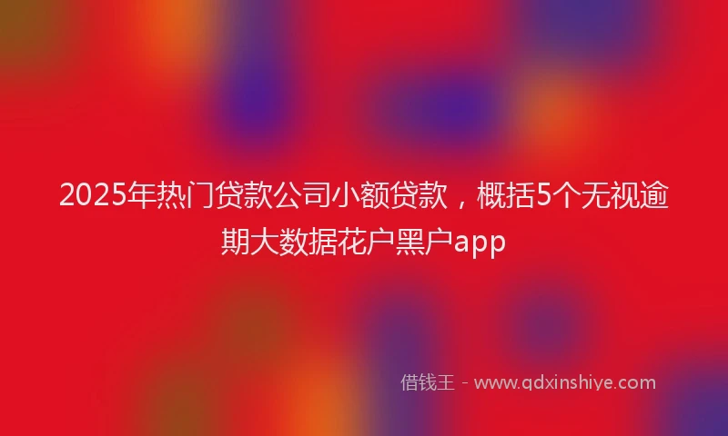 2025年热门贷款公司小额贷款，概括5个无视逾期大数据花户黑户app