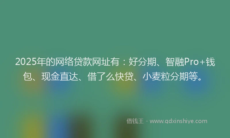 2025年的网络贷款网址有：好分期、智融Pro+钱包、现金直达、借了么快贷、小麦粒分期等。
