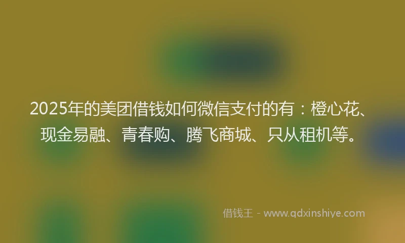 2025年的美团借钱如何微信支付的有：橙心花、现金易融、青春购、腾飞商城、只从租机等。
