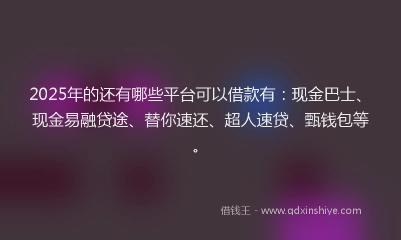 2025年的还有哪些平台可以借款有：现金巴士、现金易融贷途、替你速还、超人速贷、甄钱包等。