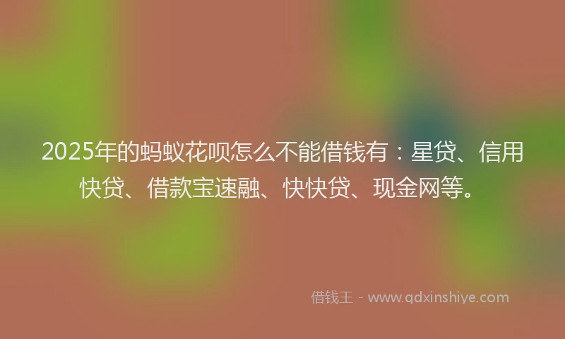 2025年的蚂蚁花呗怎么不能借钱有：星贷、信用快贷、借款宝速融、快快贷、现金网等。