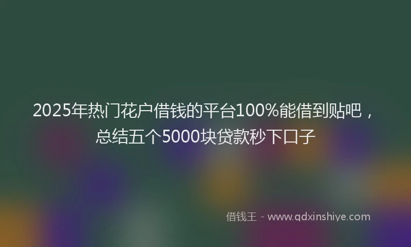2025年热门花户借钱的平台100%能借到贴吧，总结五个5000块贷款秒下口子