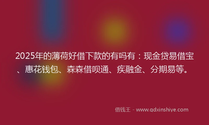 2025年的薄荷好借下款的有吗有：现金贷易借宝、惠花钱包、森森借呗通、疾融金、分期易等。