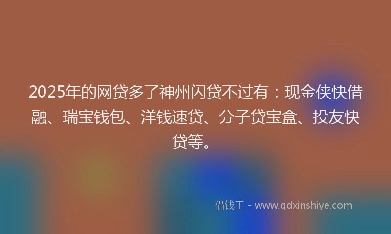 2025年的网贷多了神州闪贷不过有：现金侠快借融、瑞宝钱包、洋钱速贷、分子贷宝盒、投友快贷等。