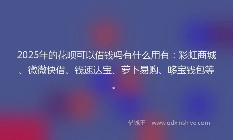 2025年的花呗可以借钱吗有什么用有：彩虹商城、微微快借、钱速达宝、萝卜易购、哆宝钱包等。
