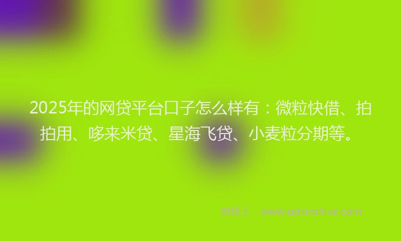 2025年的网贷平台口子怎么样有：微粒快借、拍拍用、哆来米贷、星海飞贷、小麦粒分期等。