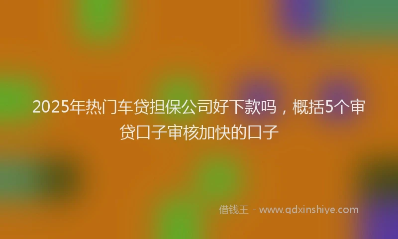 2025年热门车贷担保公司好下款吗，概括5个审贷口子审核加快的口子