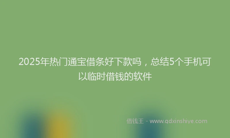 2025年热门通宝借条好下款吗，总结5个手机可以临时借钱的软件
