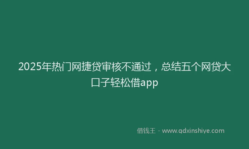 2025年热门网捷贷审核不通过，总结五个网贷大口子轻松借app