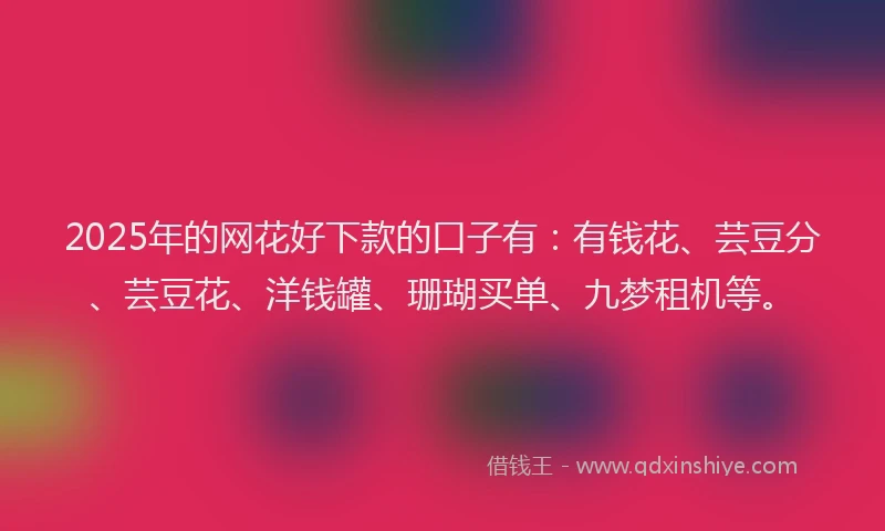 2025年的网花好下款的口子有：有钱花、芸豆分、芸豆花、洋钱罐、珊瑚买单、九梦租机等。