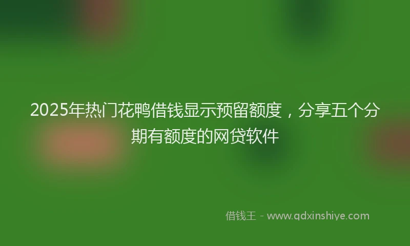 2025年热门花鸭借钱显示预留额度，分享五个分期有额度的网贷软件