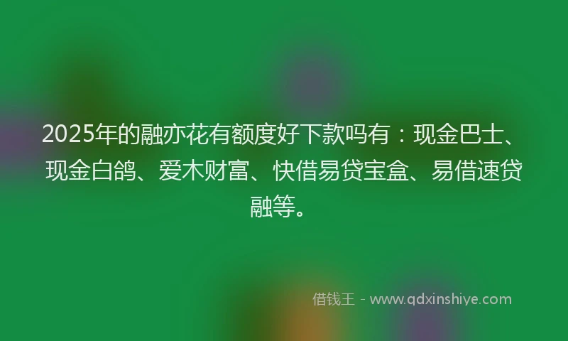 2025年的融亦花有额度好下款吗有:现金巴士、现金白鸽、爱木财富、快借易贷宝盒、易借速贷融等。