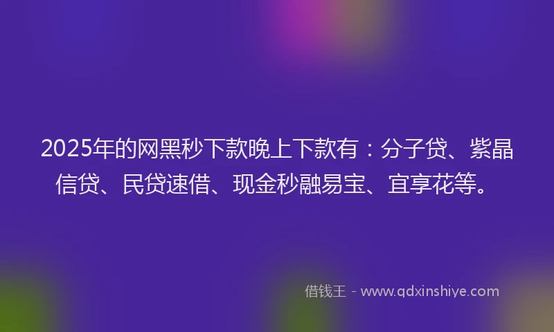 2025年的网黑秒下款晚上下款有：分子贷、紫晶信贷、民贷速借、现金秒融易宝、宜享花等。