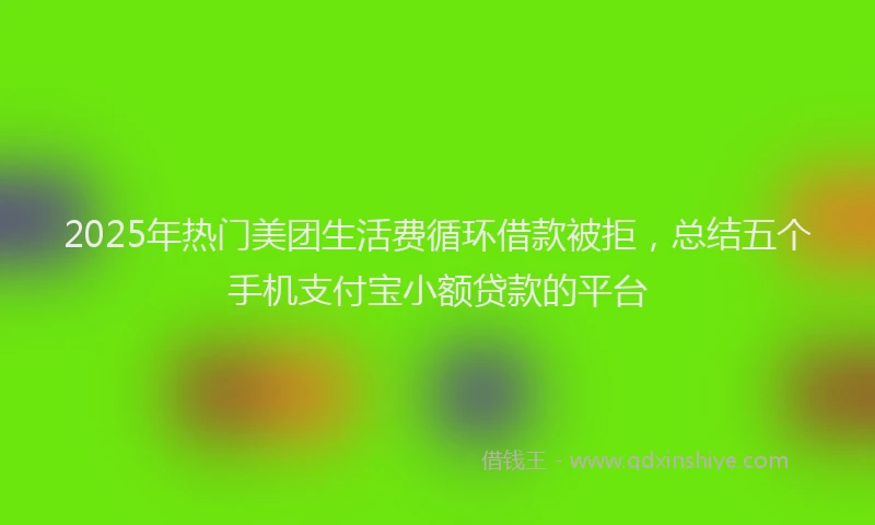 2025年热门美团生活费循环借款被拒，总结五个手机支付宝小额贷款的平台