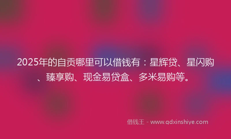 2025年的自贡哪里可以借钱有：星辉贷、星闪购、臻享购、现金易贷盒、多米易购等。