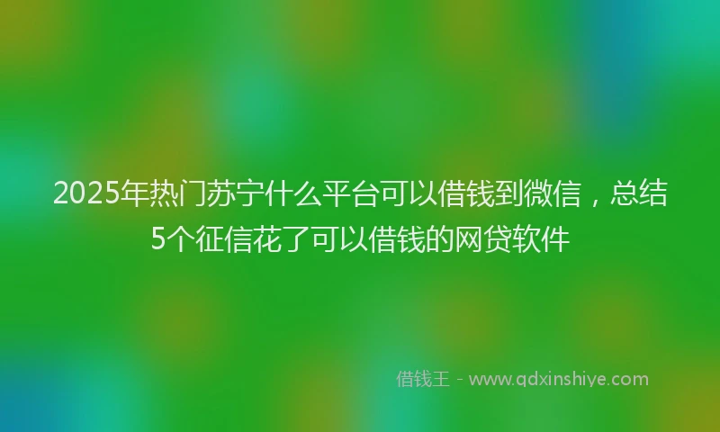 2025年热门苏宁什么平台可以借钱到微信，总结5个征信花了可以借钱的网贷软件