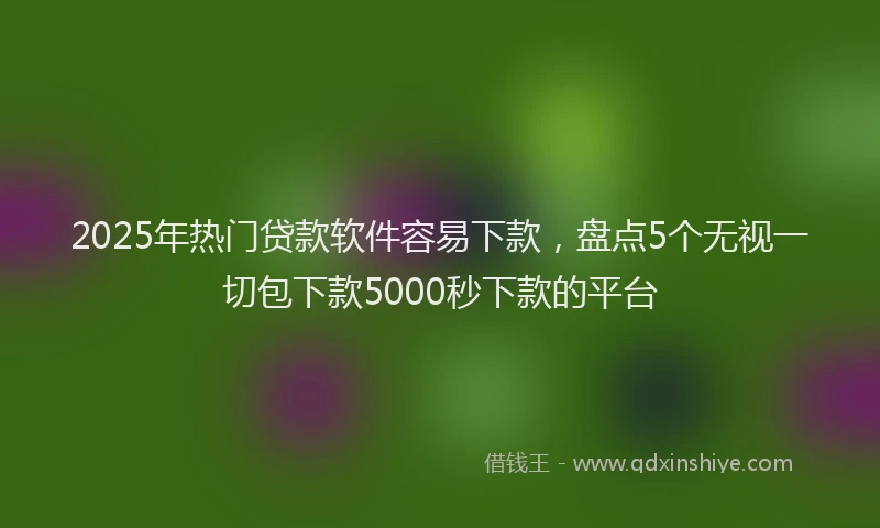 2025年热门贷款软件容易下款，盘点5个无视一切包下款5000秒下款的平台