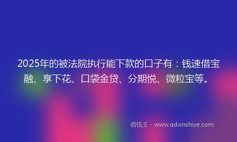 2025年的被法院执行能下款的口子有：钱速借宝融、享下花、口袋金贷、分期悦、微粒宝等。